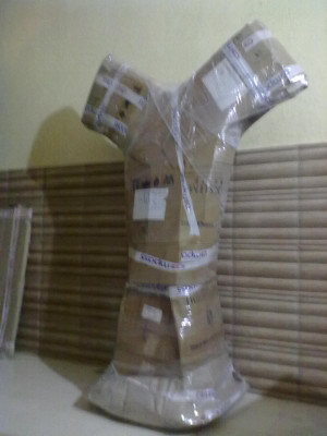 Vijay Packers & Logistics Pune gallery