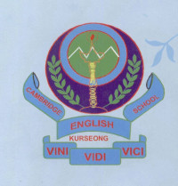 Cambridge English School logo