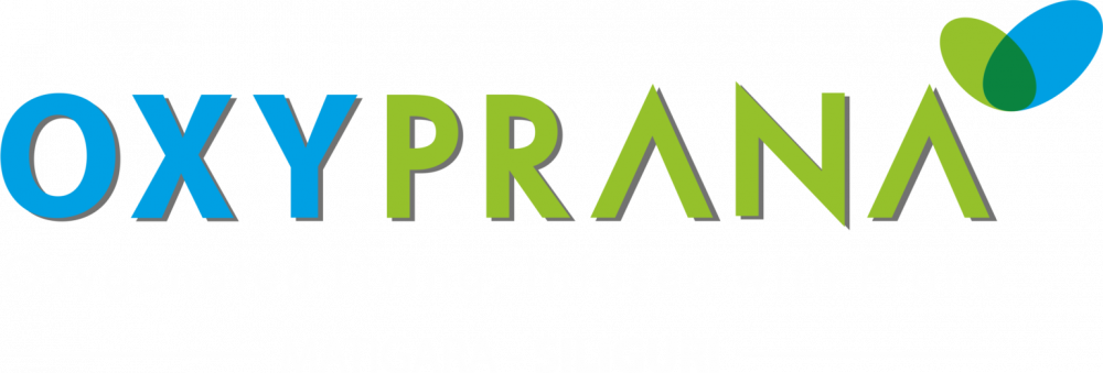 OxyPrana Homes logo