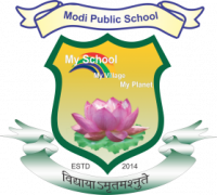 Modi Public School logo