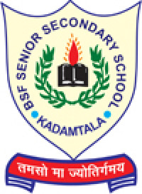 BSF Senior secondary school logo