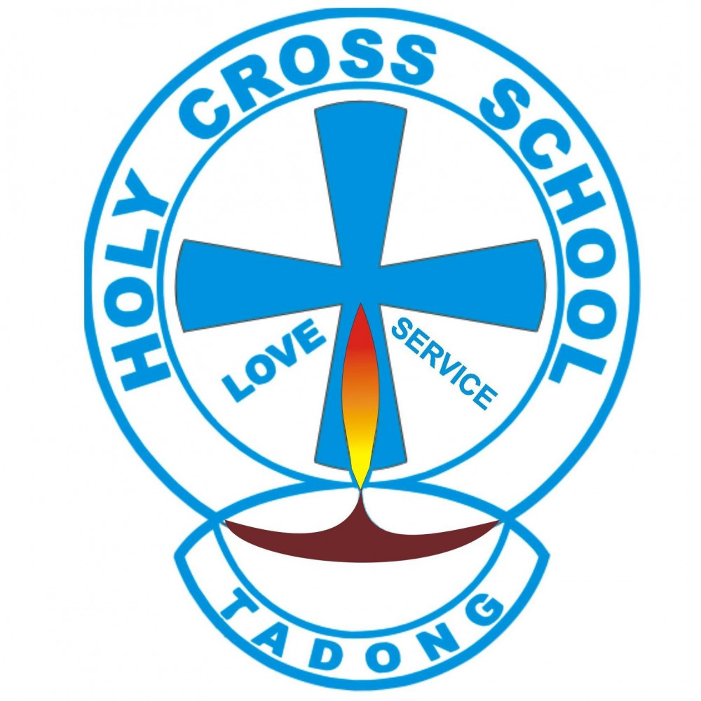 HOLY CROSS SCHOOL logo