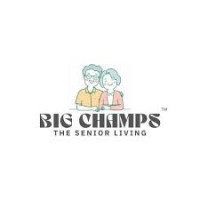 bigchamps logo